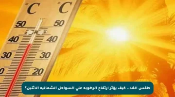 طقس الغد.. كيف يؤثر ارتفاع الرطوبة على السواحل الشمالية الاثنين؟